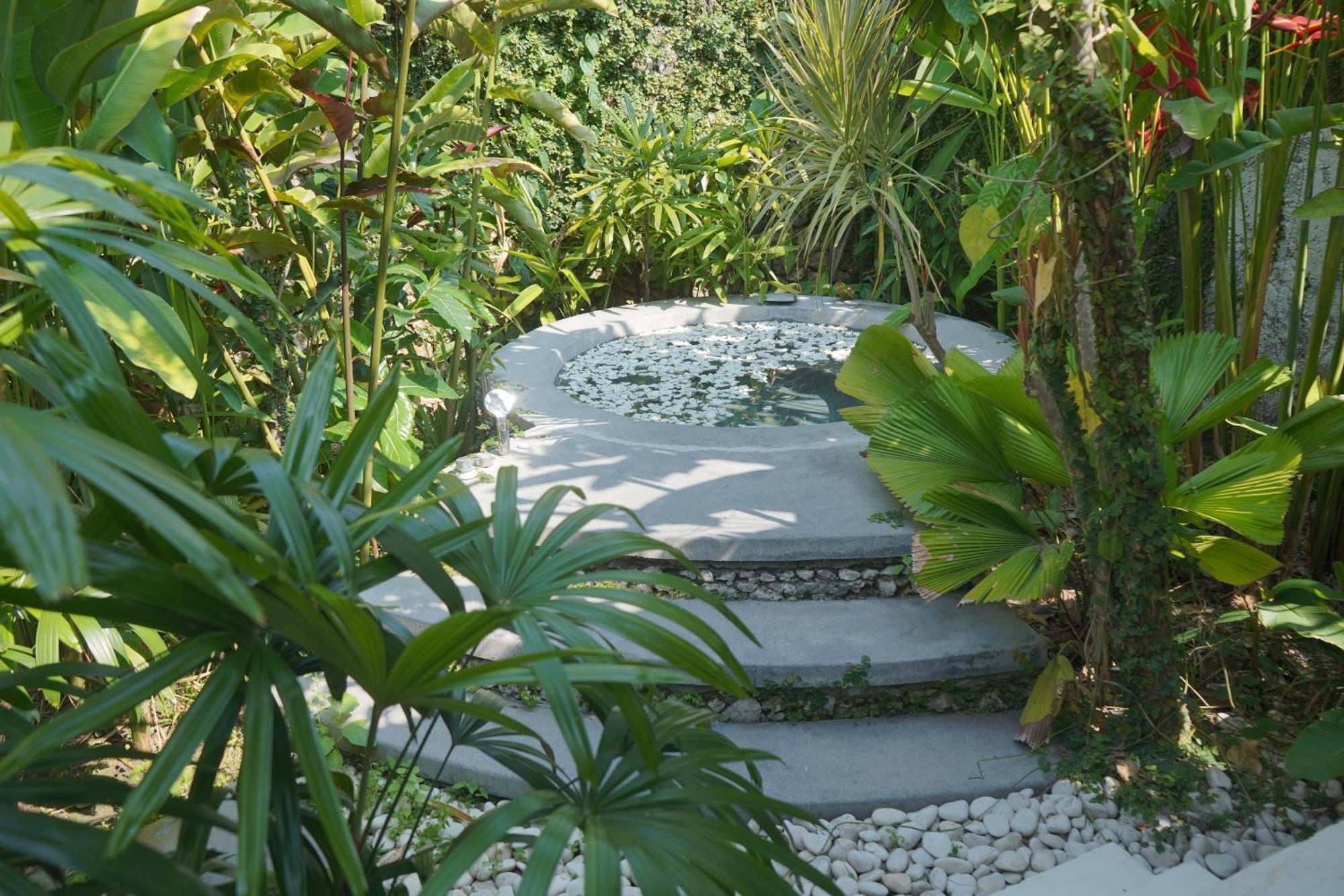 Liv Canggu - An Urban Sanctuary Oda fotoğraf